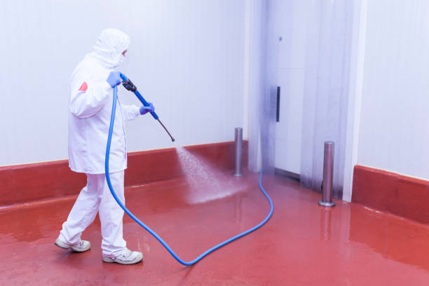 Best Playground Equipment Cleaning  in Kalispell, MT